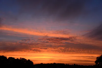 DSC_2177 (Large).JPG